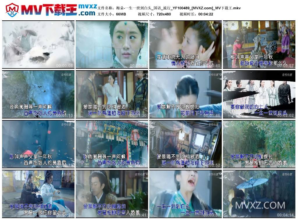 梅朵-一生一世到白头_国语_流行_YF100489